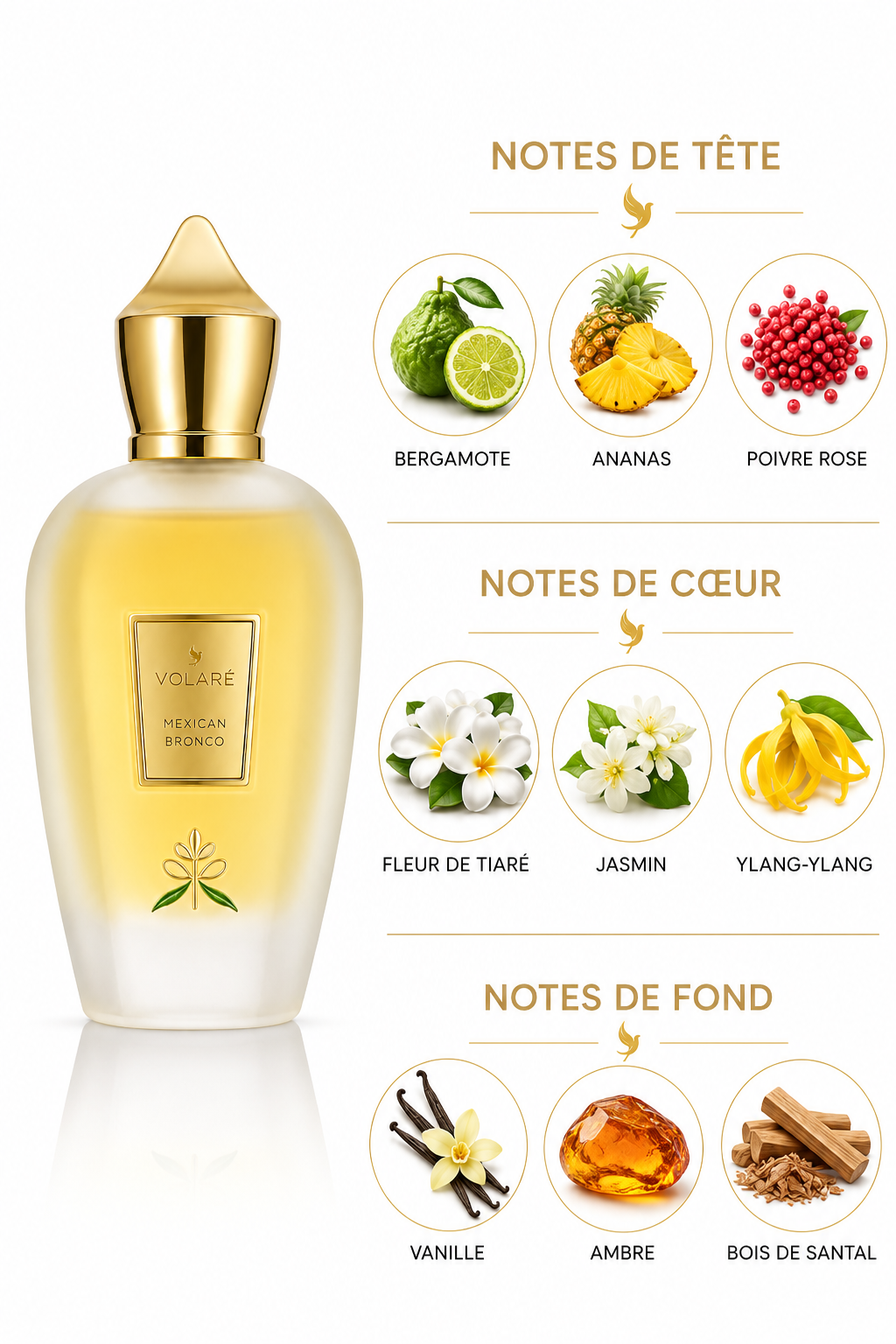 Mexican Bronco 100ml