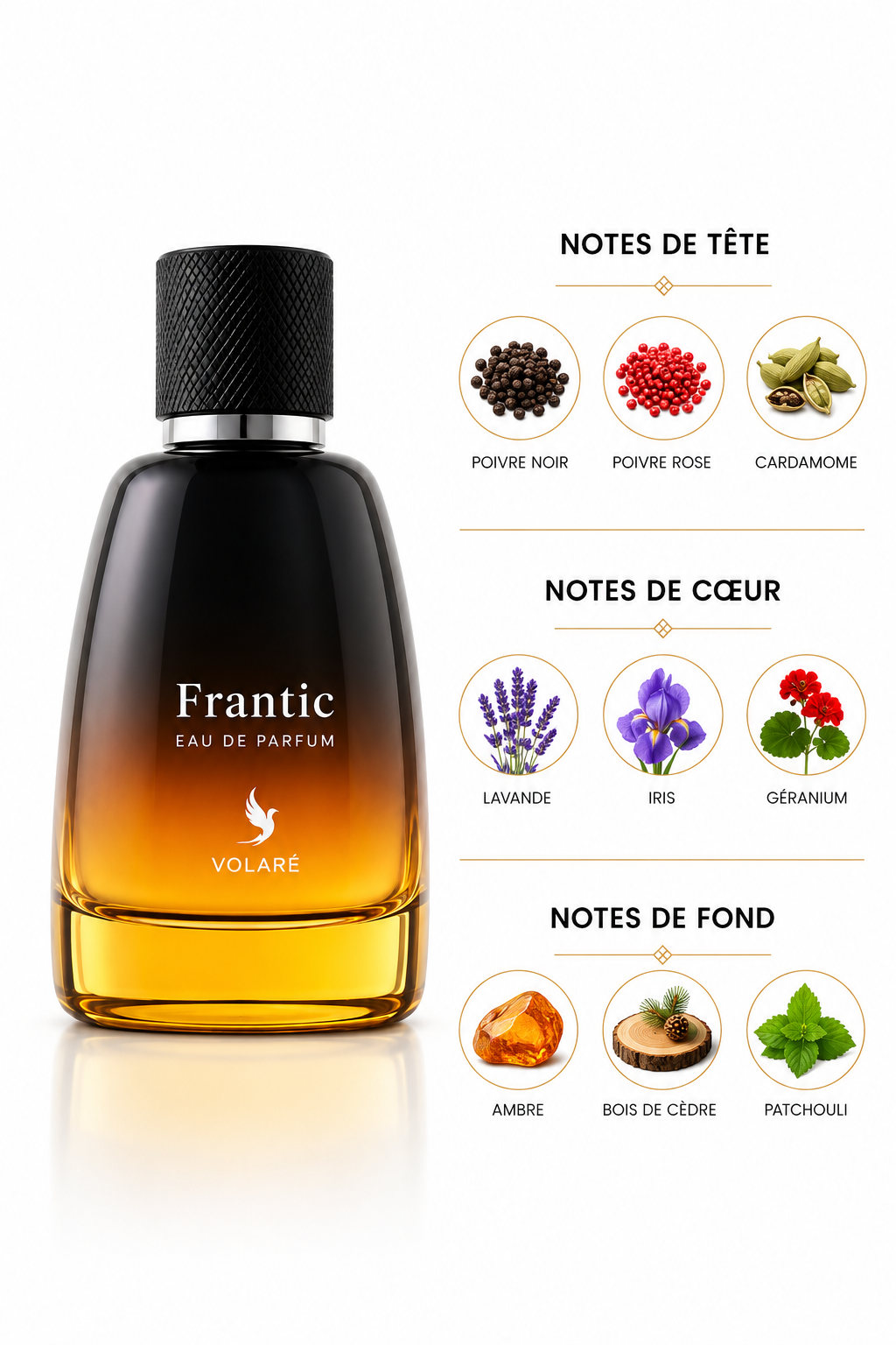 Frantic Inspi Dior Fahrenheit 100ml