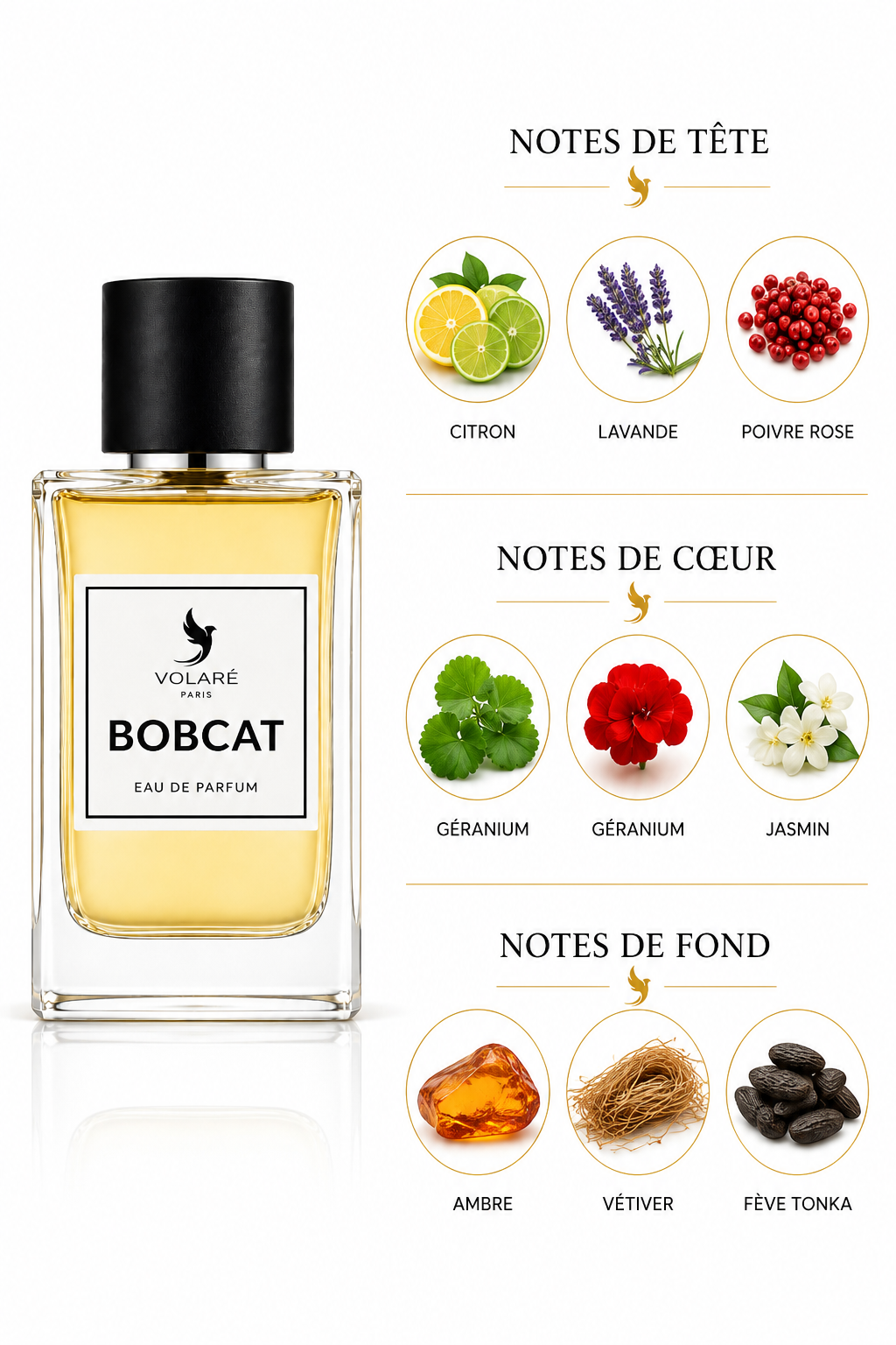 BobCat Inspi BabyCat YSL 100ml