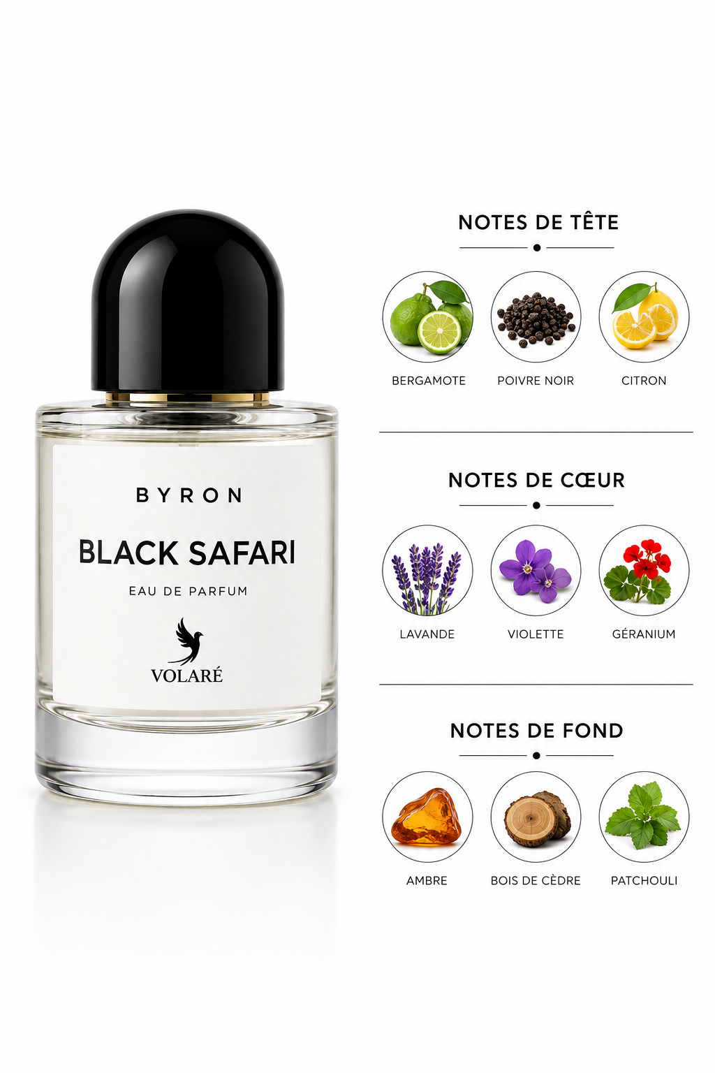 Black Safari 100ml
